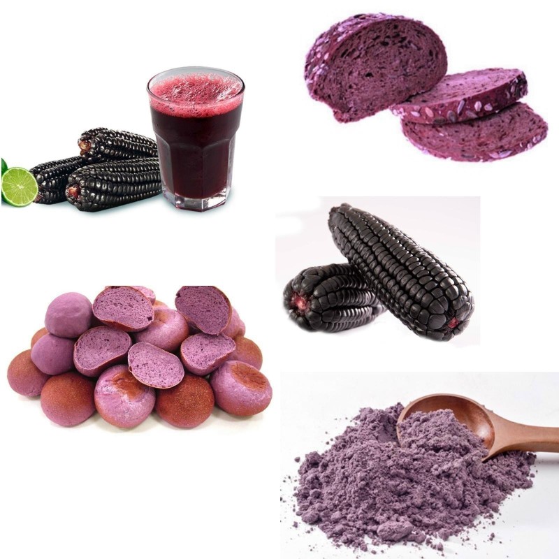 Purple Corn - Maíz Morado "Kculli" - Purple Maize Seeds