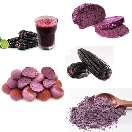 Purple Corn - Maíz Morado "Kculli" - Purple Maize Seeds