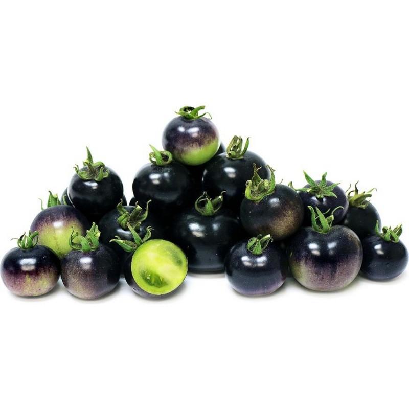 Blue Tomato Seeds "Bosque Blue" 2.5 - 1
