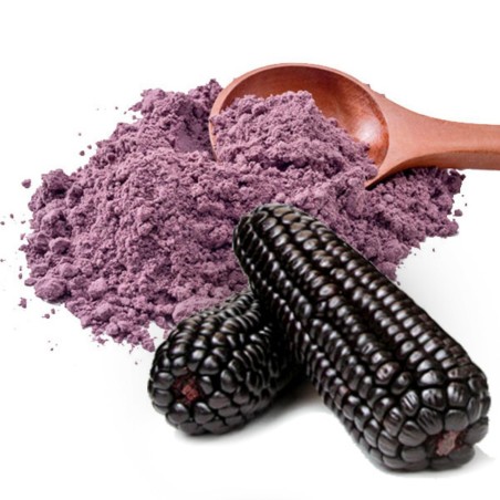 Purple Corn Seeds - Maíz Morado "Kculli" Seeds Gallery - 6